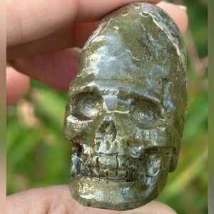 Hold for @luckypeanut13 Ammonite Skull